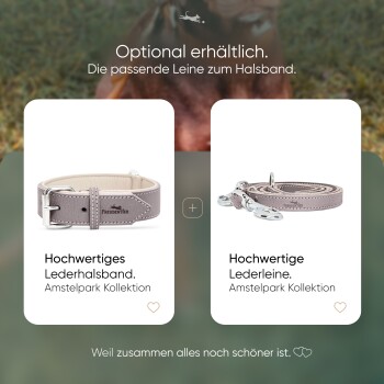 Ein stilvolles graues Haustierhalsband mit einer glänzenden silbernen Schnalle, auf einem Glastisch präsentiert, mit Text über seine hochwertige Verarbeitung und Haltbarkeit.