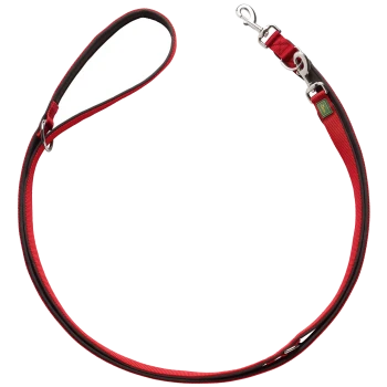 Rote und schwarze Hundeleine mit gepolstertem Griff und einem Metallclip zur Befestigung, vor einem weißen Hintergrund präsentiert.