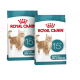 Royal Canin Senior Katzenfutterbeutel für Katzen über 15 Jahre, mit einer orangefarbenen getigerten Katze und dem Text „15+“.