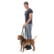 Man holding black lifting-harness handles on a brown dog, man in navy tee and jeans, white background