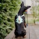 Ein schwarzer Hund, der ein mintgrünes Geschirr mit einem dekorativen Muster trägt, sitzt auf einem Holztisch und schaut von der Kamera weg.