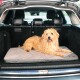 Un chien fluffy, marron clair, repose sur un lit pour animaux de compagnie gris à l'arrière d'une voiture, avec l'intérieur du véhicule visible en arrière-plan.