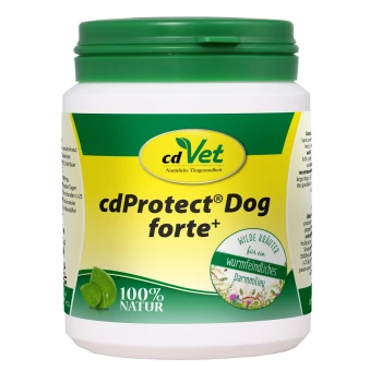 Behälter von cdVet cdProtect® Dog forte+, einem natürlichen Hundesupplement, mit einem grünen Deckel und einem Etikett mit pflanzlichen Ansprüchen und "100% NATUR."