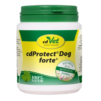 Behälter von cdVet cdProtect® Dog forte+, einem natürlichen Hundesupplement, mit einem grünen Deckel und einem Etikett mit pflanzlichen Ansprüchen und "100% NATUR."