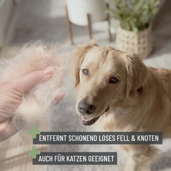 Eine Person hält Haustierfell, während ein Golden Retriever zuschaut. Text: "Sanfte Entfernung von losem Fell und Knoten. Auch für Katzen geeignet."