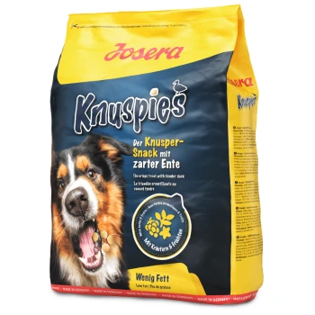 Nahaufnahme des Gesichts eines Hundes auf einer gelben Tüte Josera Knuspies Hundeleckerlis, mit "Knuspriger Leckerbissen mit zartem Entenfleisch" und "Wenig Fett."
