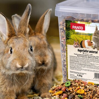 Zwei braune Kaninchen im Vordergrund neben einem klaren Behälter mit "PANTO" Nagerfutter mit bunten Pellets und Samen.