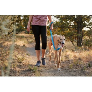Eine Frau in einem kastanienbraunen Shirt und schwarzen Leggings führt einen tanfarbenen Greyhound an einer blauen Leine auf einem schmutzigen Weg, umgeben von Gras und Bäumen.