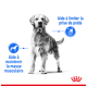Image d'un chien avec un texte mettant en avant les avantages : « Aide à limiter la prise de poids » et « Aide à maintenir la masse musculaire ».