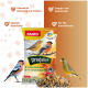 Ein Haufen gemischter Vogelfutter mit verschiedenen Samen, darunter Sonnenblumenkerne, Hirse und Mais, vor einem weißen Hintergrund.