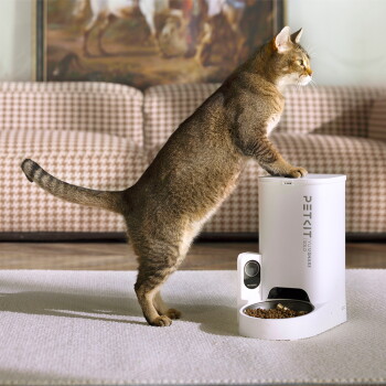 Braune getigerte Katze steht auf den Hinterbeinen und greift in einen weißen PETKIT-Automatenfutterspender mit Trockenfutter; im Hintergrund ein Sofa.