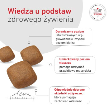 Trzy brązowe krokiety z polskim nagłówkiem 'Wiedza u podstaw zdrowego żywienia', informacjami o żywieniu i logo 'ŻYWIENIE WETERYNARYJNE'.