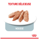 Nourriture pour animaux en mousse présentée sur une assiette blanche, avec quatre tranches d'une nourriture texturée, brun-rosé. Le texte indique "TEXTURE DÉLICIEUSE" et "MOUSSE."