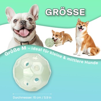 Tierwerbung: transluzente 15 cm Hundespielzeug-Kugel mit lächelnden Hunden; sichtbarer Text: 'Größe M', 'Durchmesser: 15 cm / 5,9 in'.