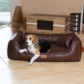 Beagle liegt auf einem braunen Leder-Haustierbett mit passendem Kissen in einem gefliesten Raum.