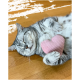 Eine entspannte graue getigerte Katze liegt auf der Seite und hält ein pinkes herzförmiges Spielzeug gegen ihre Brust auf einem Holzboden.