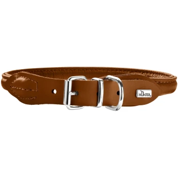 Brauner Lederhundehalsband mit silberner Metallschnalle und HUNTER-Logo.