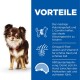 Science Plan Small & Miniature Light Adult 1+, Huhn 6 kg