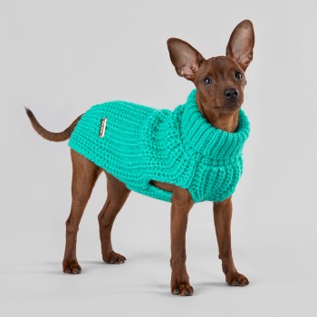 Paikka Knit Sweater green 50 cm