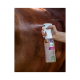 Eine Person sprüht eine Flasche mit der Aufschrift "BRUMMER CONTROL" auf das Fell eines Pferdes und zeigt ein natürliches Insektenschutzmittel für Pferde.