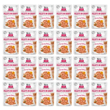 Opakowania karmy dla kotów Brit Care, oznaczone "Filety w sosie dla dorosłych kotów," z pysznym smakiem łososia, ułożone w siatkę.
