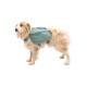 Front Range™ Hundetagesrucksack seegrün XS