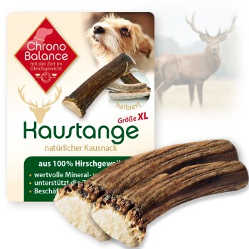 Geweih Halbiert (XL) 2er Paket