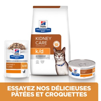 Produits Hill's Prescription Diet Kidney Care pour chats, comprenant un sac, un sachet et une boîte, avec une image de chat et un texte promouvant la nourriture.