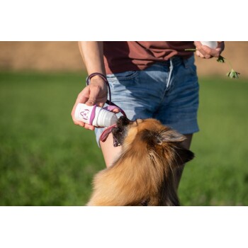 Eine Person in Shorts hält eine Haustier-Wasserflasche an den Mund eines Hundes, während der Hund eifrig daran leckt. Die Szene spielt sich in einem grasbewachsenen Bereich ab.