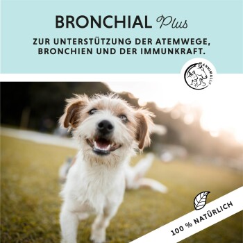 Ein verspielter Hund im Gras mit dem Text: "BRONCHIAL Plus für Atemunterstützung. 100% NATÜRLICH."