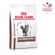 Royal Canin Veterinary Gastrointestinal Katzenfutterbeutel mit einem Bild einer grauen getigerten Katze, mit dem Logo "VETERINARY NUTRITION".