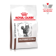 Royal Canin Veterinary Gastrointestinal Katzenfutterbeutel mit einem Bild einer grauen getigerten Katze, mit dem Logo "VETERINARY NUTRITION".