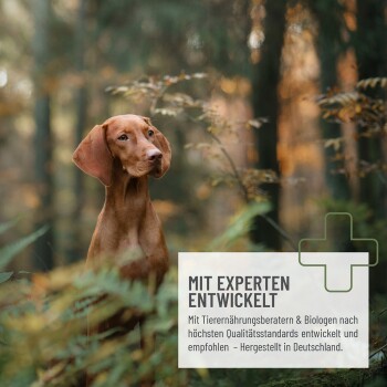 Paket von "ReaVet BARF Früchte Mix" für Hunde, mit einer Wolf-Illustration, getrockneten Früchten und Nährwertinformationen. Hergestellt in Deutschland, 1kg.