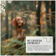 Paket von "ReaVet BARF Früchte Mix" für Hunde, mit einer Wolf-Illustration, getrockneten Früchten und Nährwertinformationen. Hergestellt in Deutschland, 1kg.