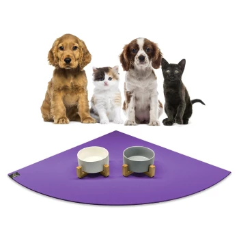 Eine Gruppe von vier Haustieren, darunter zwei Hunde, eine Katze und ein schwarzes Kätzchen, die auf einer lila Matte mit zwei Futternäpfen sitzen.