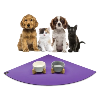 Eine Gruppe von vier Haustieren, darunter zwei Hunde, eine Katze und ein schwarzes Kätzchen, die auf einer lila Matte mit zwei Futternäpfen sitzen.