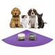 Eine Gruppe von vier Haustieren, darunter zwei Hunde, eine Katze und ein schwarzes Kätzchen, die auf einer lila Matte mit zwei Futternäpfen sitzen.