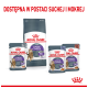Karma dla kotów Royal Canin Appetite Control w różnych opakowaniach, z wizerunkiem kota i napisem "DOSTĘPNA W POSTACI SUCHEJ I MOKREJ."