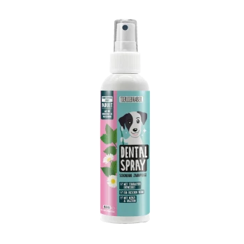 Eine Flasche Zahnspray für Haustiere, mit einem türkisfarbenen und rosa Etikett mit einem Zahn-Graphic und dem Text "DENTALSPRAY" am unteren Rand.