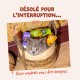 Chat gris regardant depuis un panier tressé avec des sachets de nourriture pour chat ; texte visible : « DÉSOLÉ POUR L'INTERRUPTION... » et « Coco voudrait vous dire bonjour. »