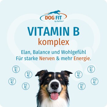 Dog Fit Vitamin B Komplex mit lächelndem trikoloren Hund, Schriftzug 'VITAMIN B komplex' und deutscher Zeile über Energie und Nerven.
