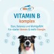 Dog Fit Vitamin B Komplex mit lächelndem trikoloren Hund, Schriftzug 'VITAMIN B komplex' und deutscher Zeile über Energie und Nerven.