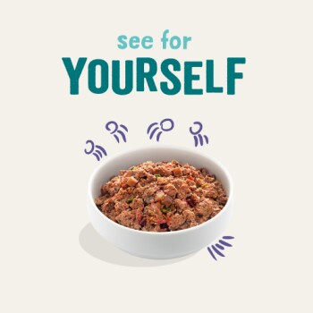 Miska z jedzeniem dla zwierząt wypełniona kawałkami mięsa i warzywami, z tekstem "sprawdź SAM" nad nią.