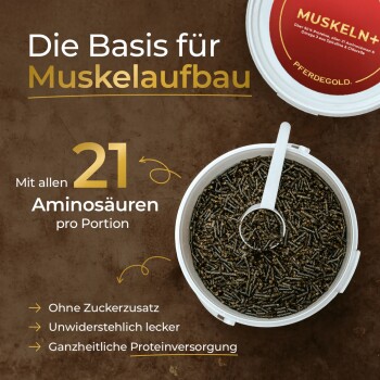Behälter für das Pferdegold Pferdeergänzungsmittel mit der Aufschrift "Muskeln," mit einem Pferdelogo und Informationen zu einer 30-Tage-Garantie und Ergebnissen in 2 Wochen.