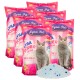 Sechs Tüten Lyra Pet Power Silica Katzenstreu in rosa Verpackung, mit einer grauen Katze auf der Vorderseite und einem Haufen blauer Kristalle davor.