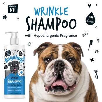 Bulldogge mit einem glücklichen Ausdruck neben einer Flasche 'Bugalugs Wrinkle Shampoo', das hypoallergenen Duft und pH-ausgewogen enthält.