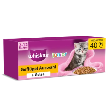 Whiskas Junior Kätzchenfutter-Megapack (40) lila-rosa Schachtel mit Kätzchen, beschriftet mit 'Geflügel Auswahl in Gelee' und '2–12 Monate'