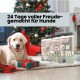 Golden Retriever mit Weihnachtsmütze liegt neben einem Weihnachtsbaum mit Geschenk und einer Hundeadventskalender-Box.