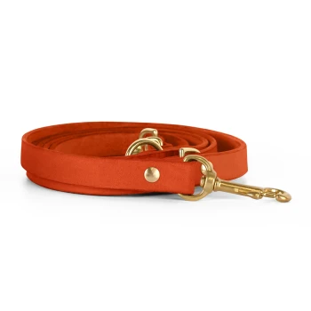 Eine lebhaft orangefarbene Hundeleine aus weichem Material, mit einem goldenen Metallclip und Befestigungsringen.