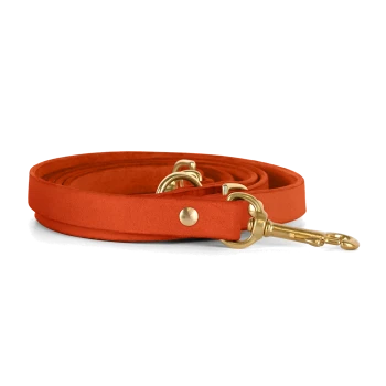 Eine lebhaft orangefarbene Hundeleine aus weichem Material, mit einem goldenen Metallclip und Befestigungsringen.